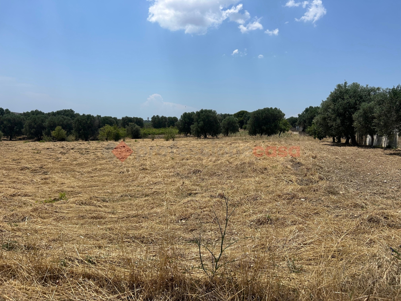 Terreno Edificabile in vendita a Monteparano