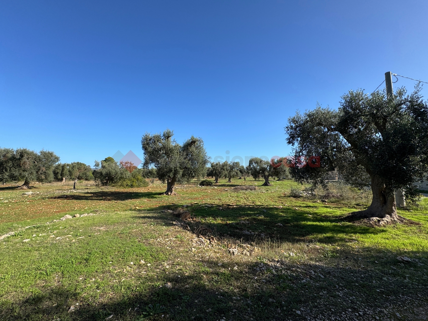 Terreno Agricolo in vendita a Grottaglie