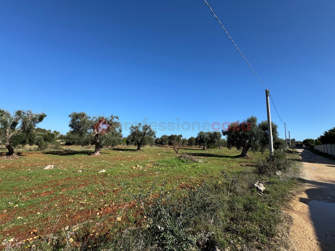 Terreno Agricolo in vendita a Grottaglie
