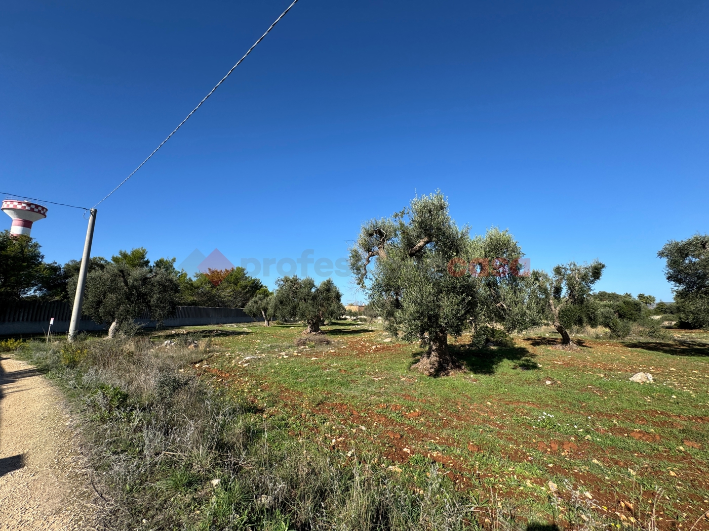 Terreno Agricolo in vendita a Grottaglie