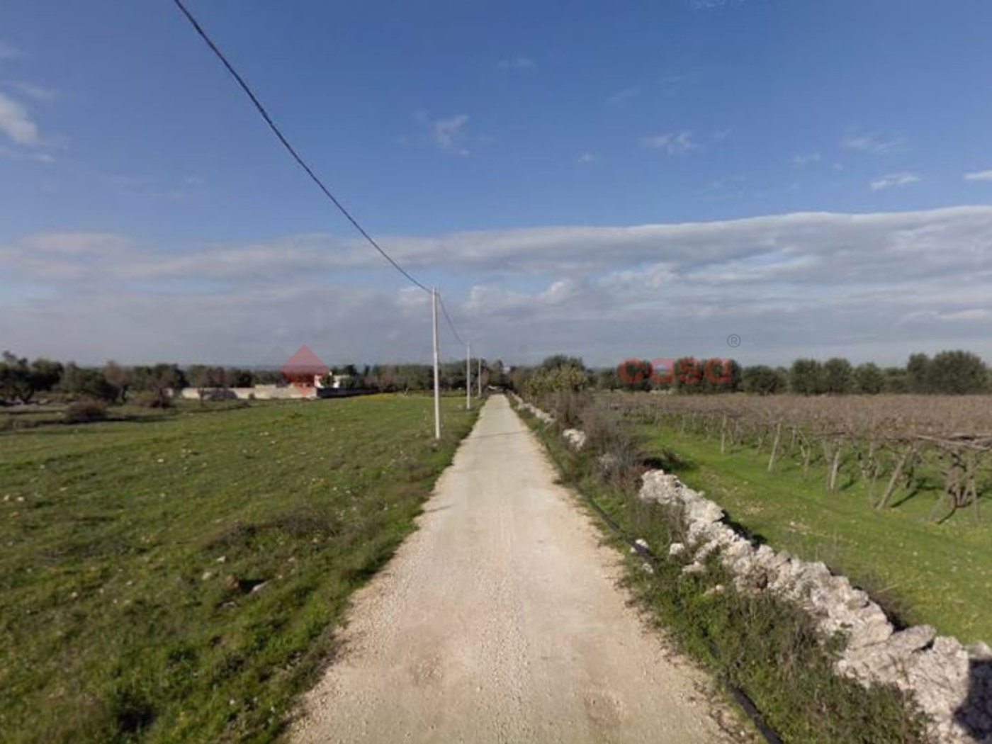 immagine annuncio 7 di 9