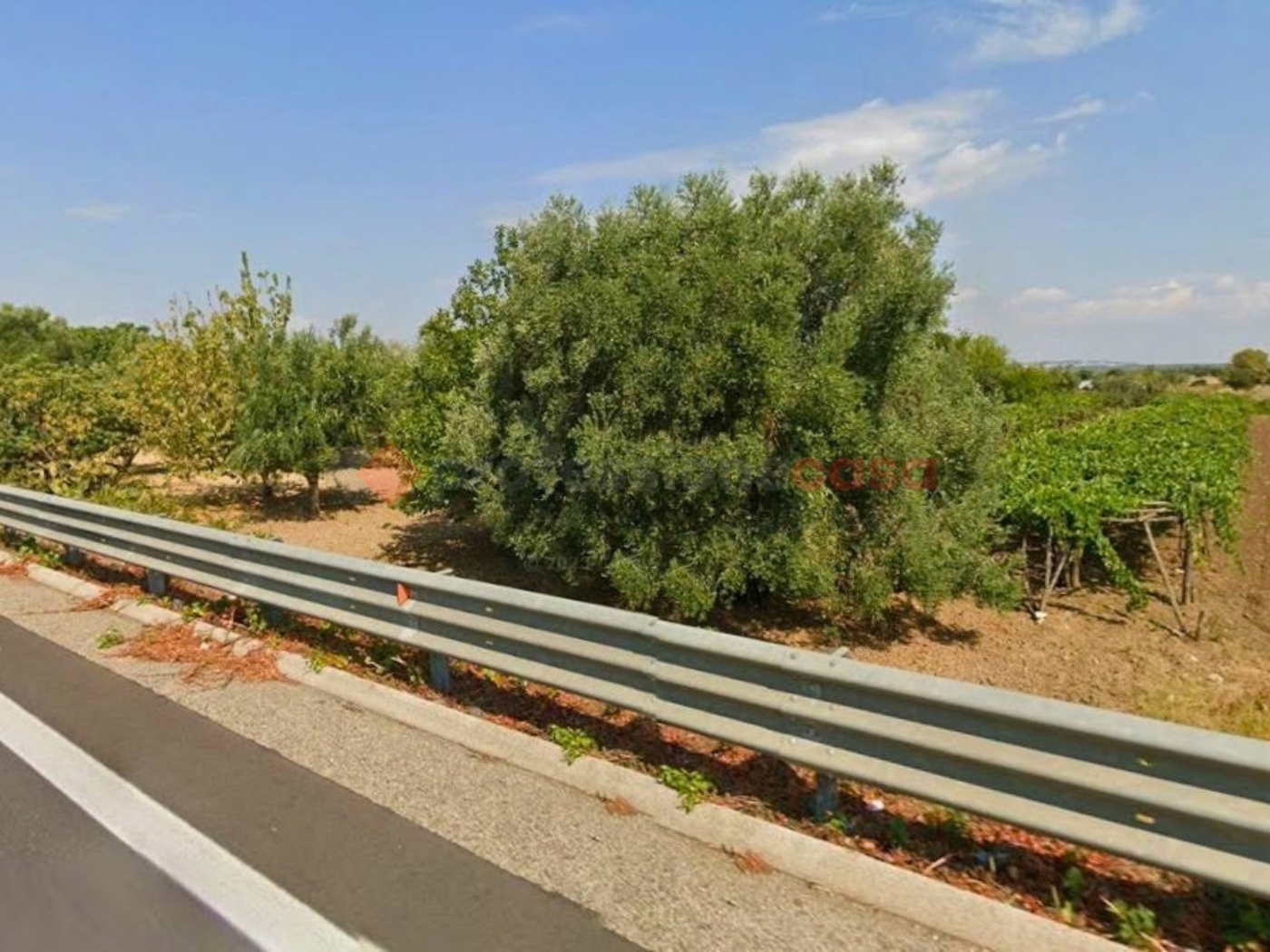 Terreno Agricolo in vendita a Villa Castelli