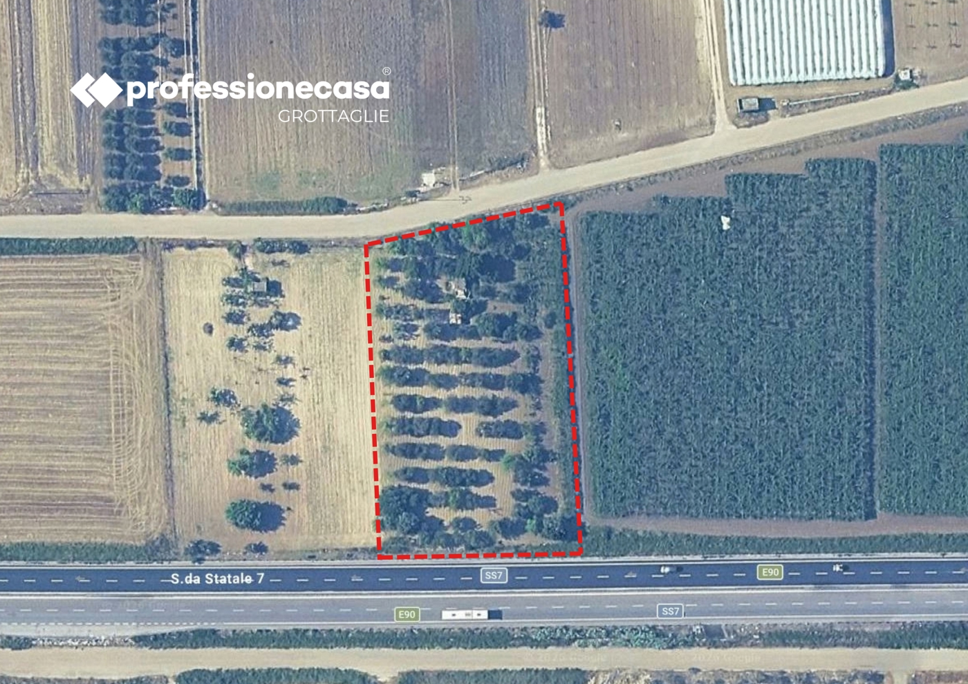 Terreno Agricolo in vendita a Villa Castelli