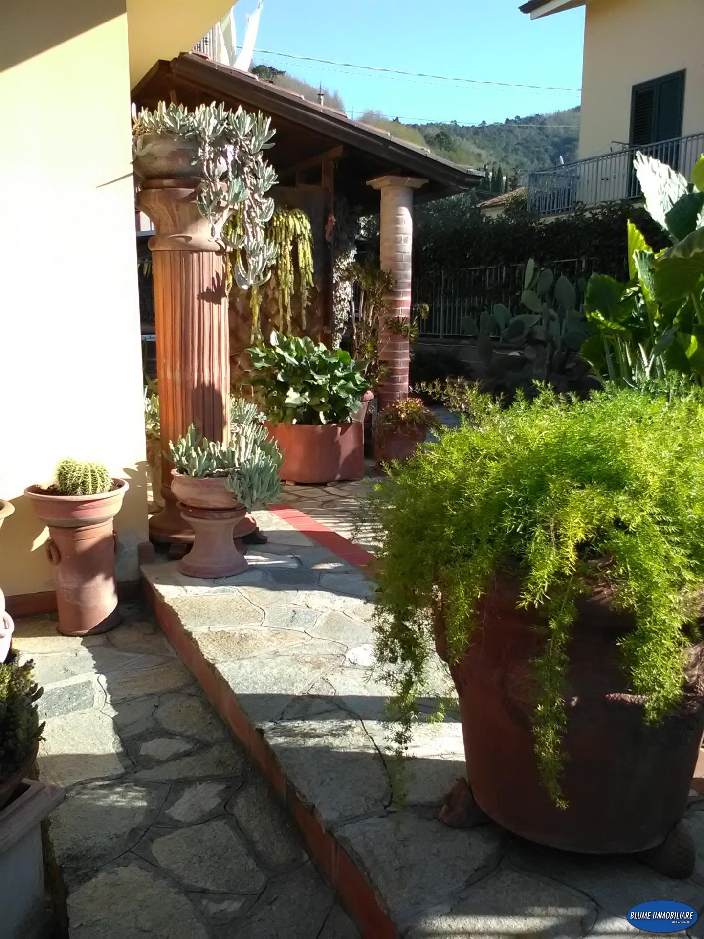 Villa con giardino, Massarosa quiesa