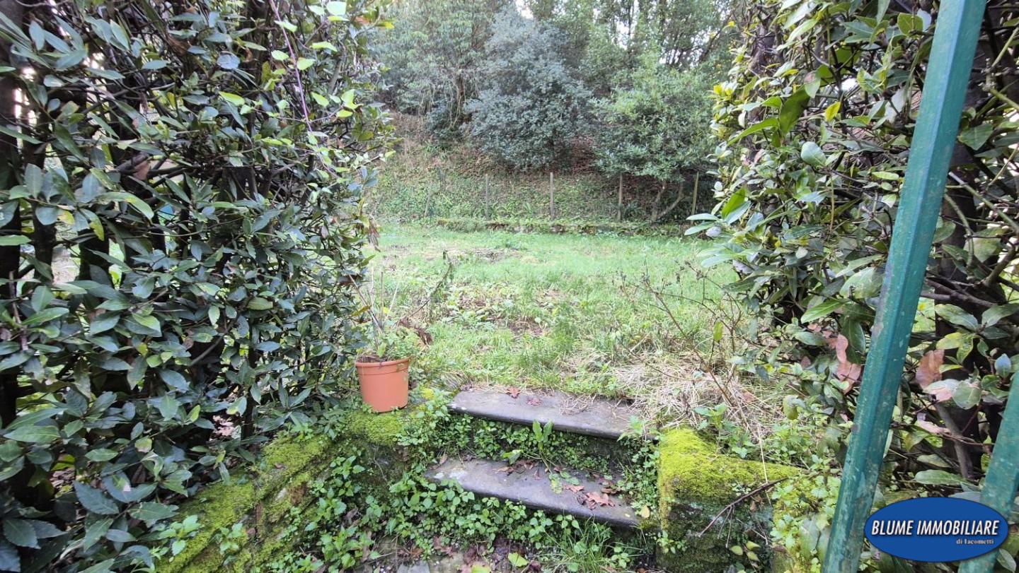 Rustico con giardino, Camaiore collina