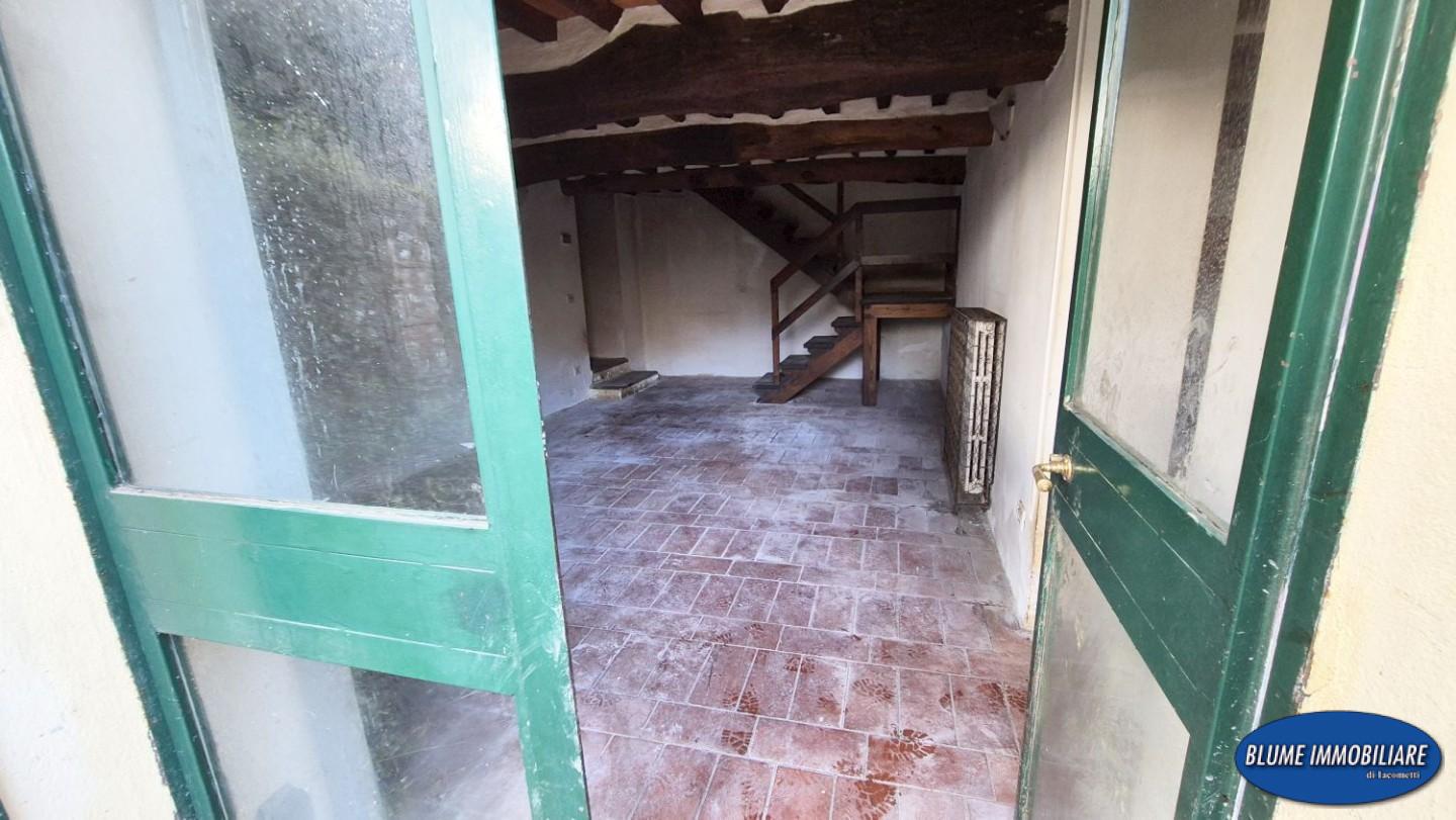 Rustico con giardino, Camaiore collina