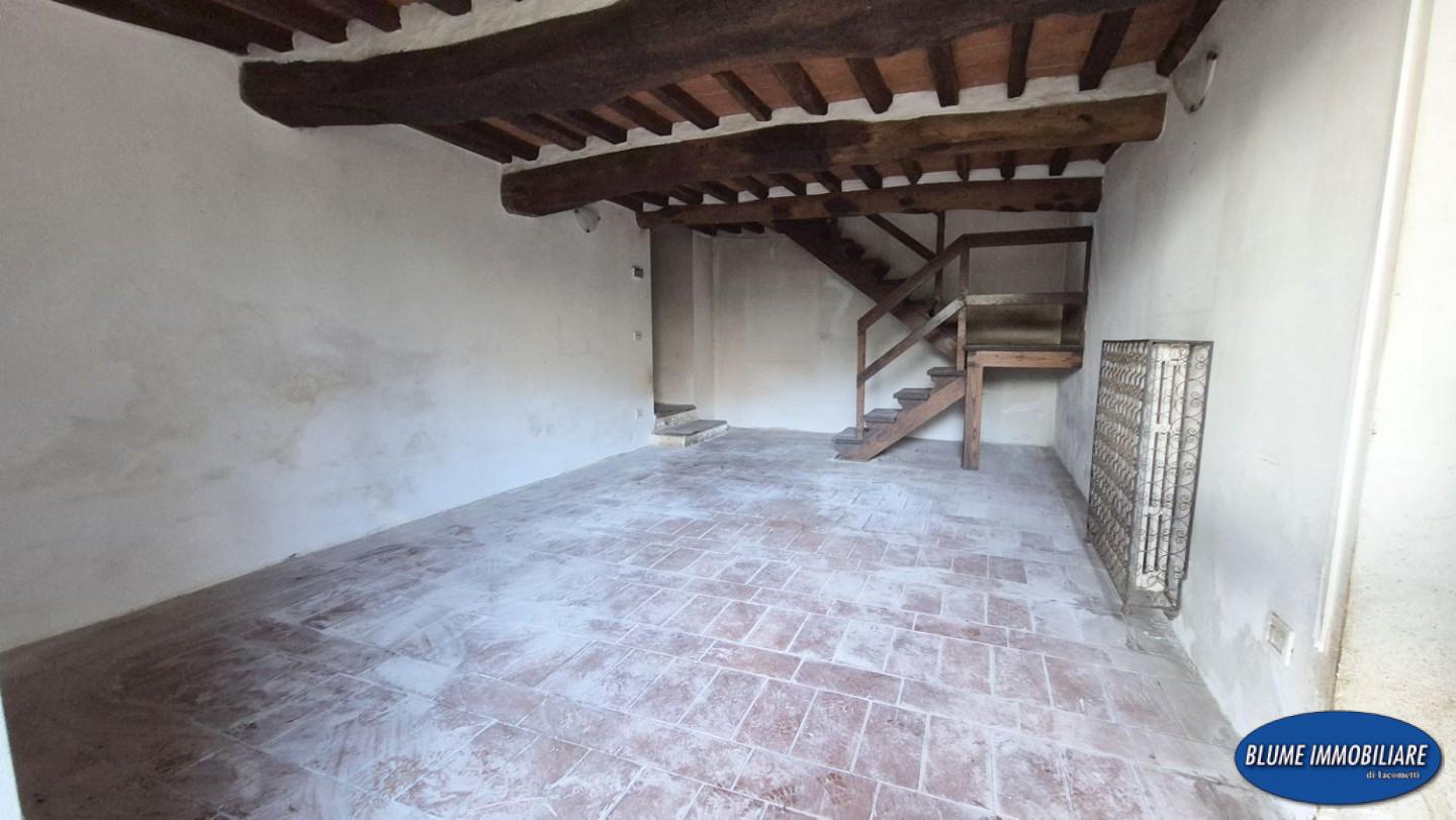 Rustico con giardino, Camaiore collina