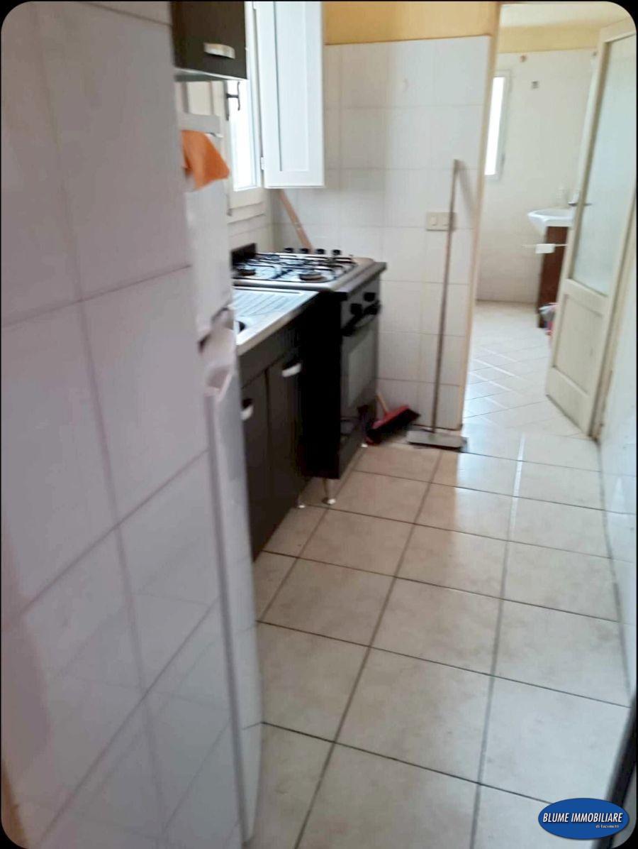 Appartamento con giardino, Viareggio marco polo