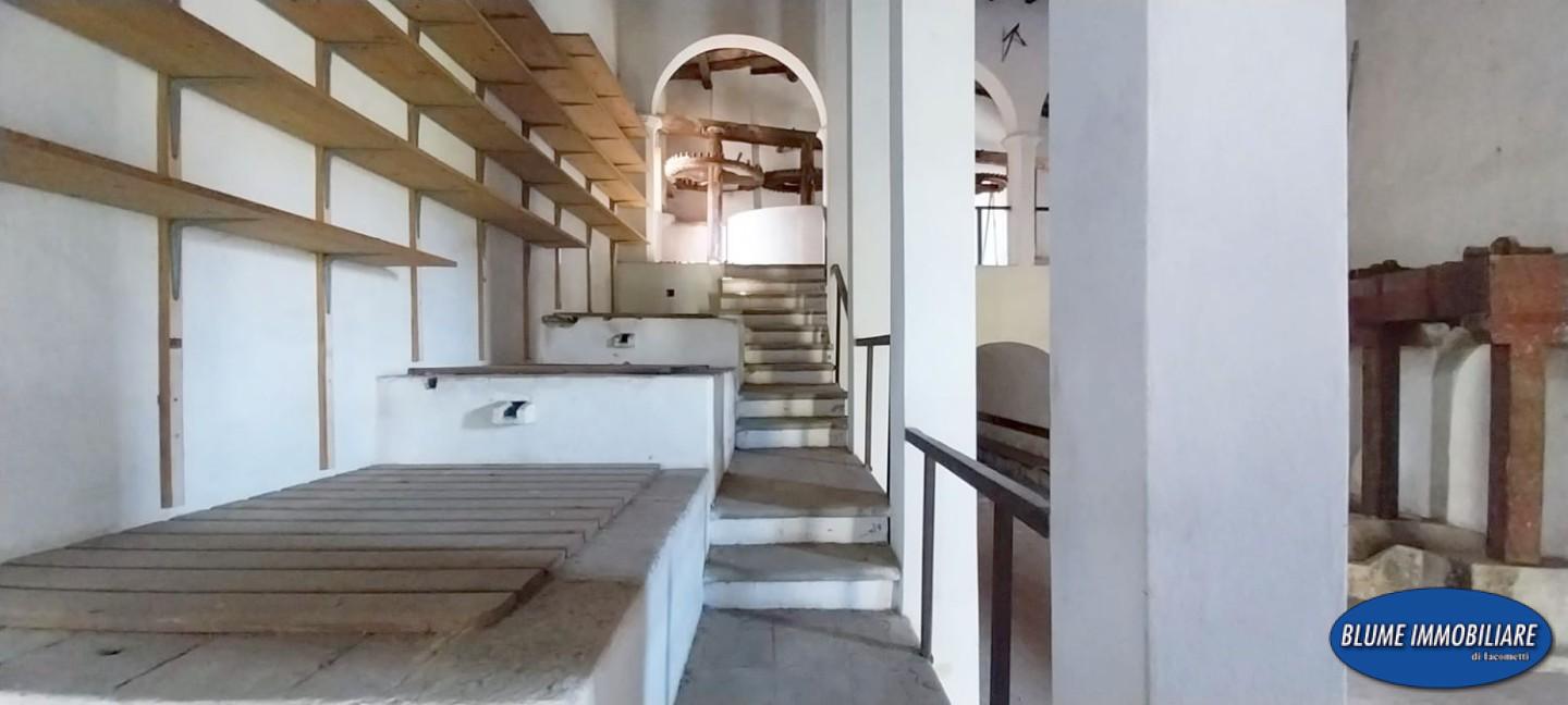 immagine annuncio 2 di 6