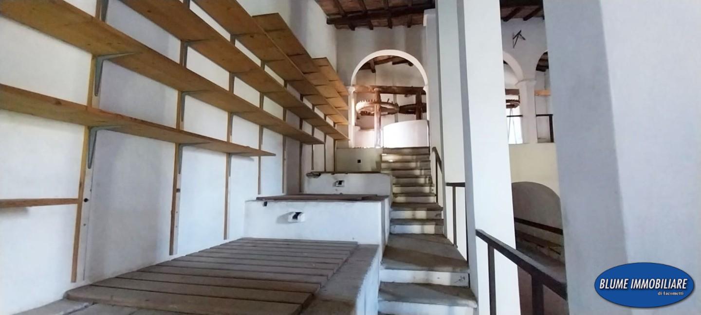 immagine annuncio 3 di 6