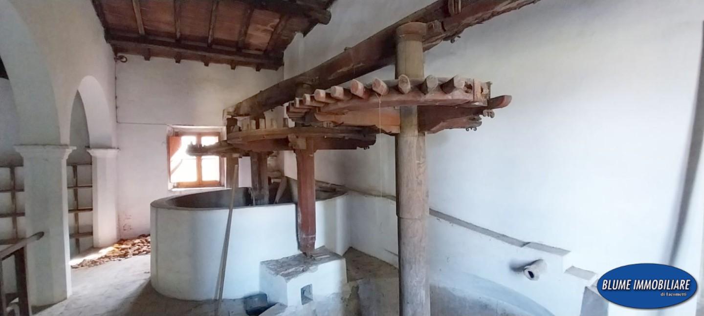 immagine annuncio 4 di 6