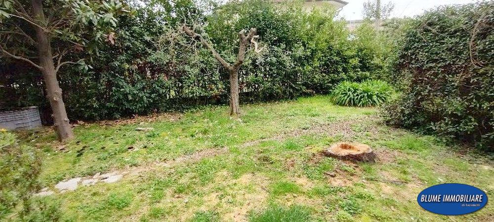 Casa indipendente con giardino a Massarosa