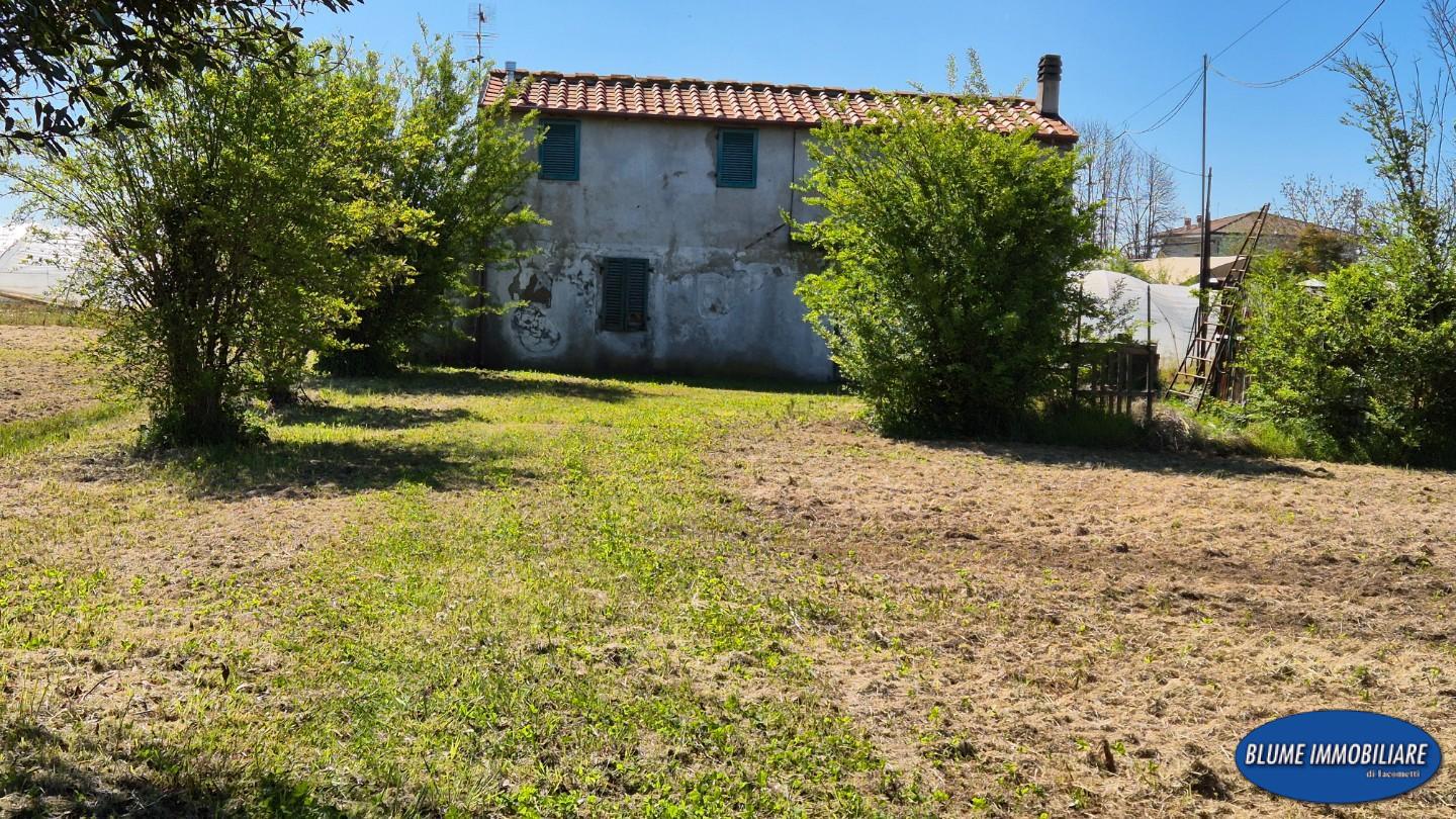 Rustico con giardino, Camaiore capezzano pianore