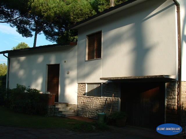 Villa con giardino, Camaiore lido di