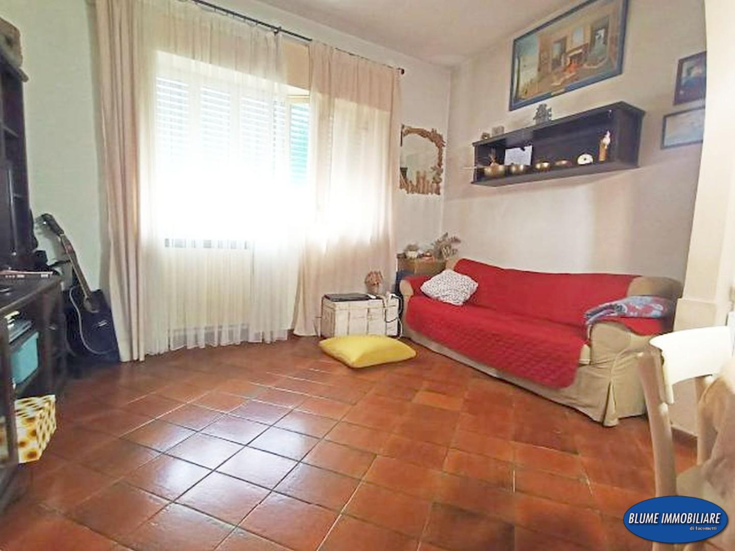 immagine annuncio 1 di 6