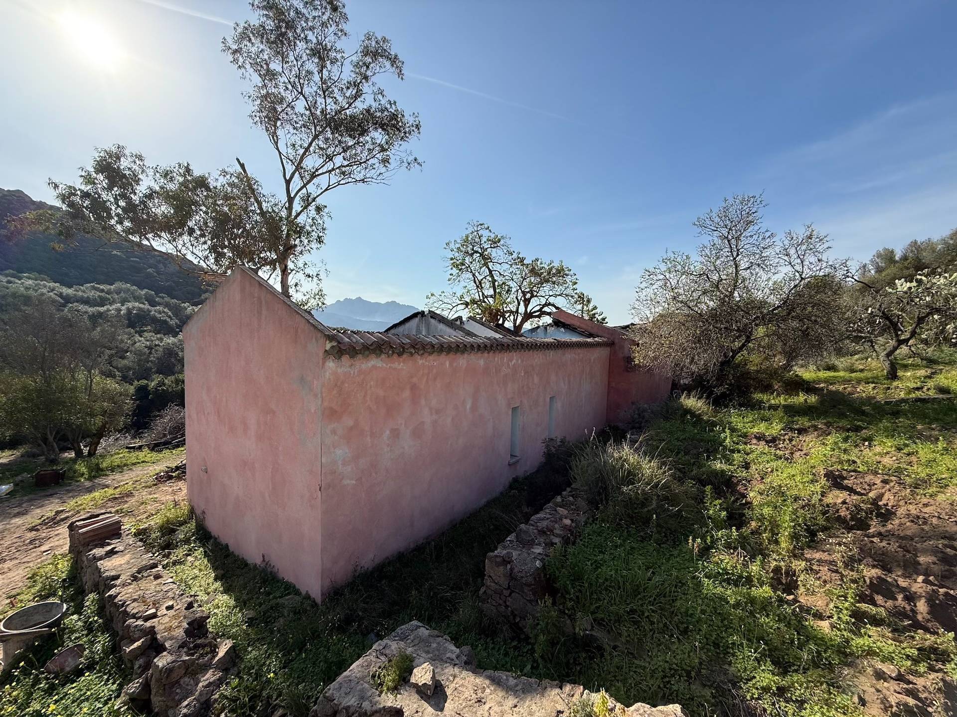 Rustico in vendita a Viddalba