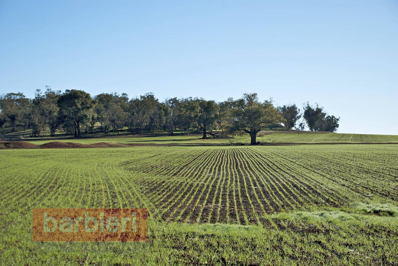 Terreno Agricolo in vendita a Cesena, Bagnile