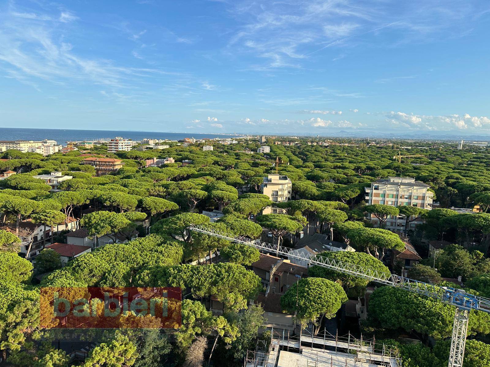 Appartamento in affitto a Cervia, Milano Marittima