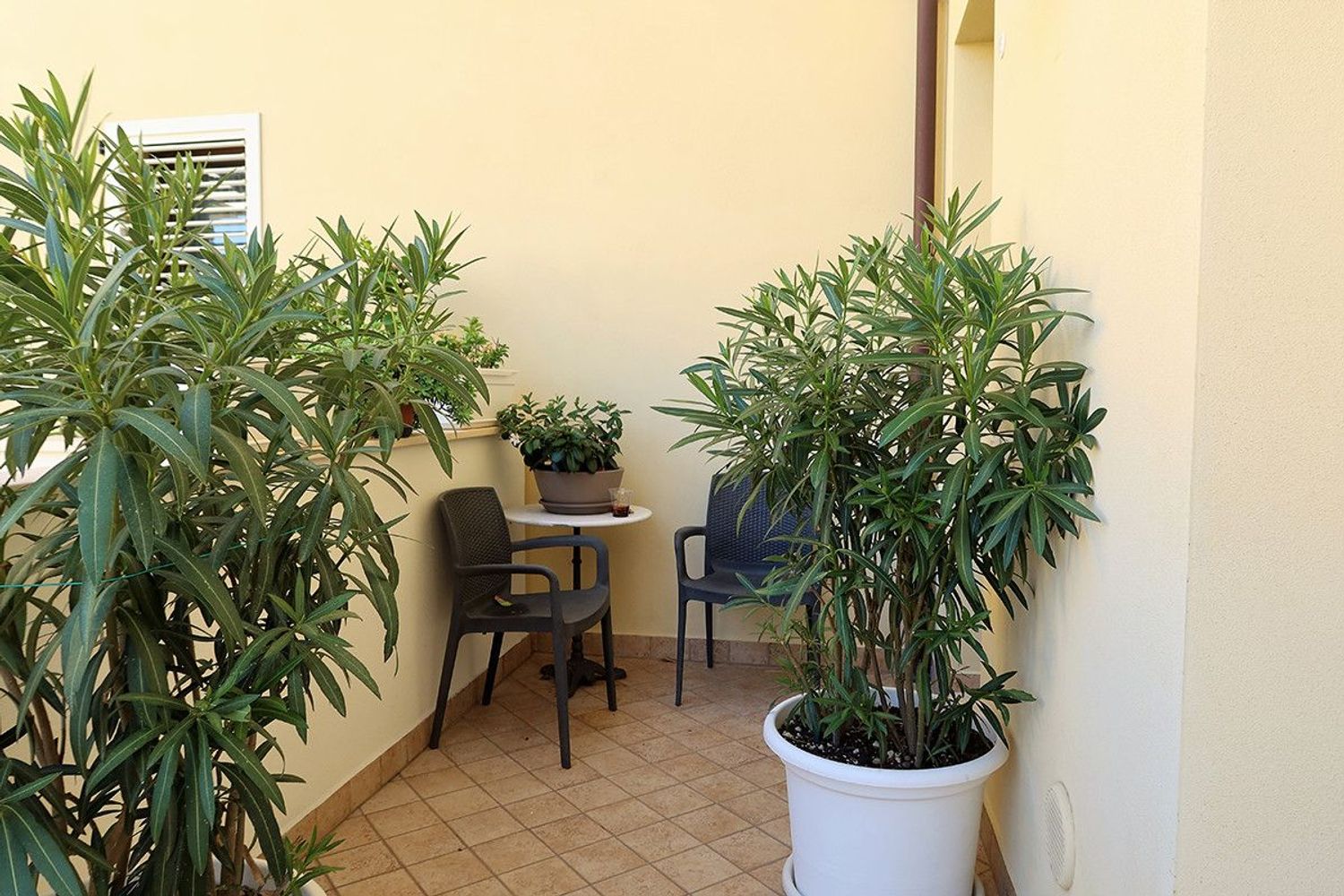 Appartamento in vendita a Cervia, Malva Sud