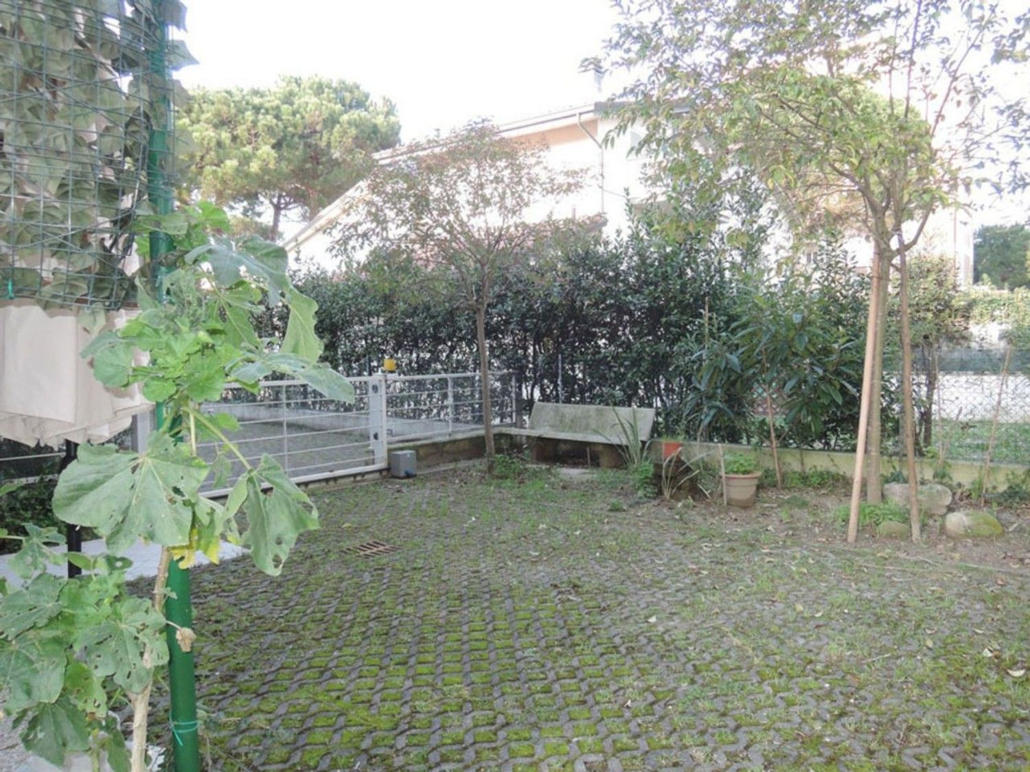 Villette a schiera in vendita a Cervia