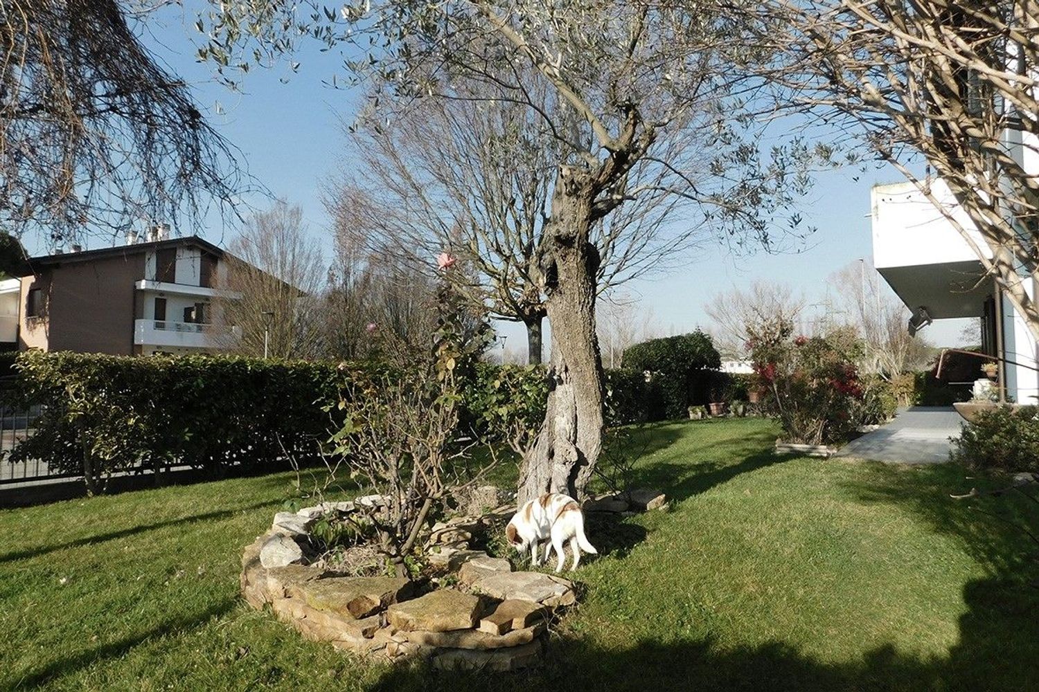 Appartamento in vendita a Cervia