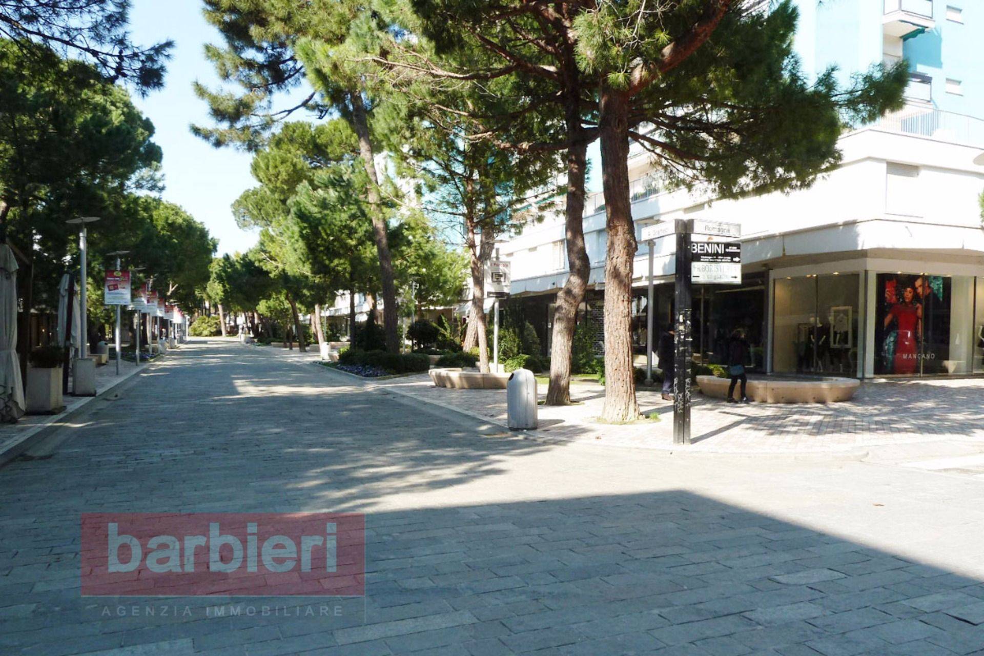 Trilocale in affitto a Cervia, Milano Marittima