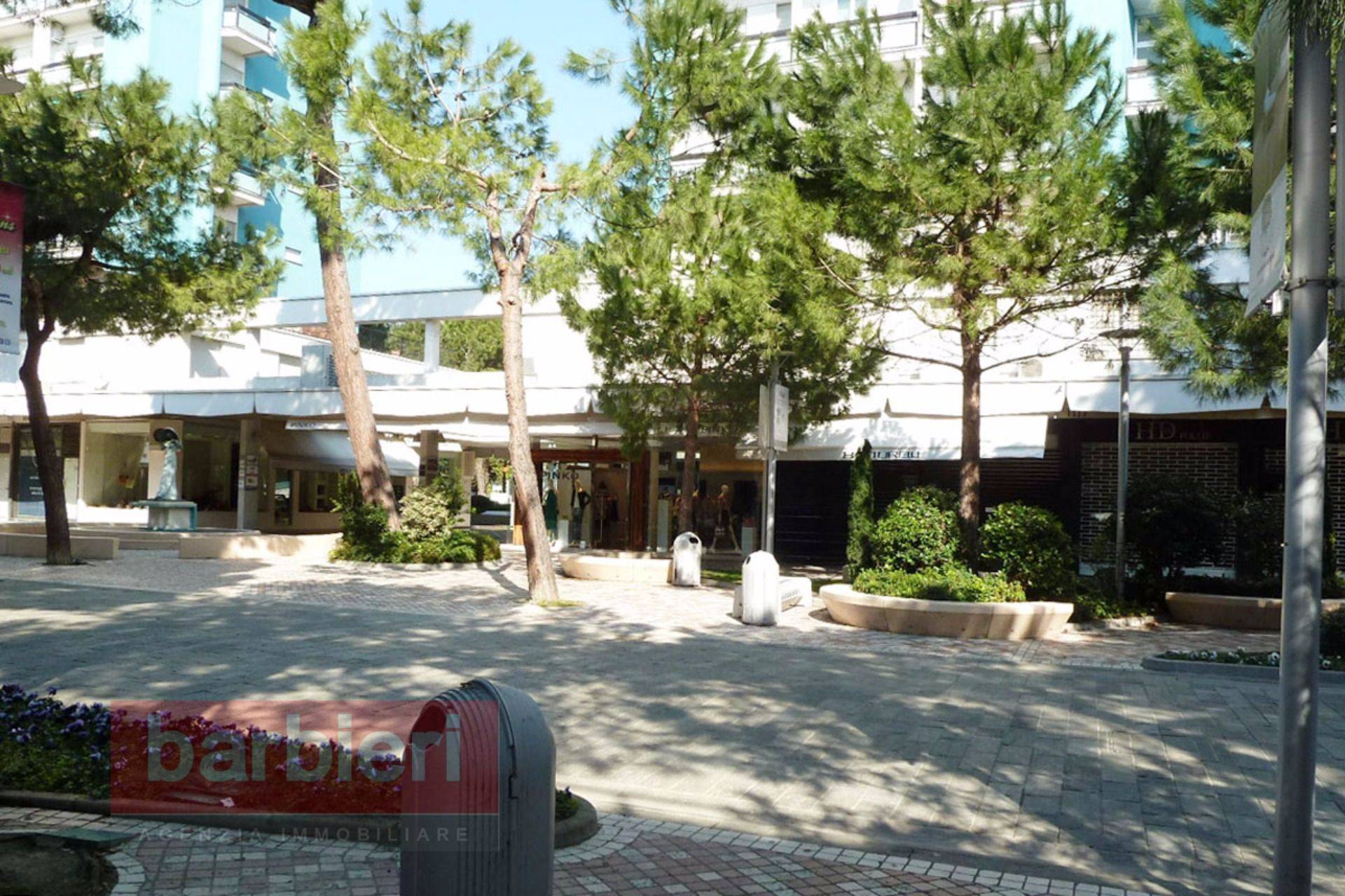 Trilocale in affitto a Cervia, Milano Marittima