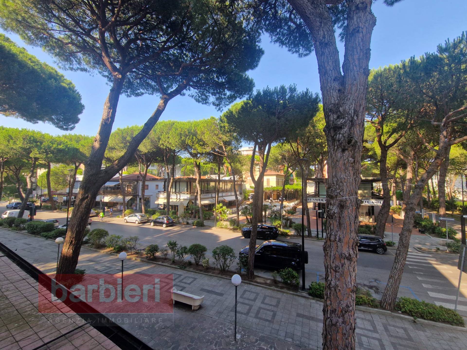 Appartamento in affitto a Cervia, Milano Marittima