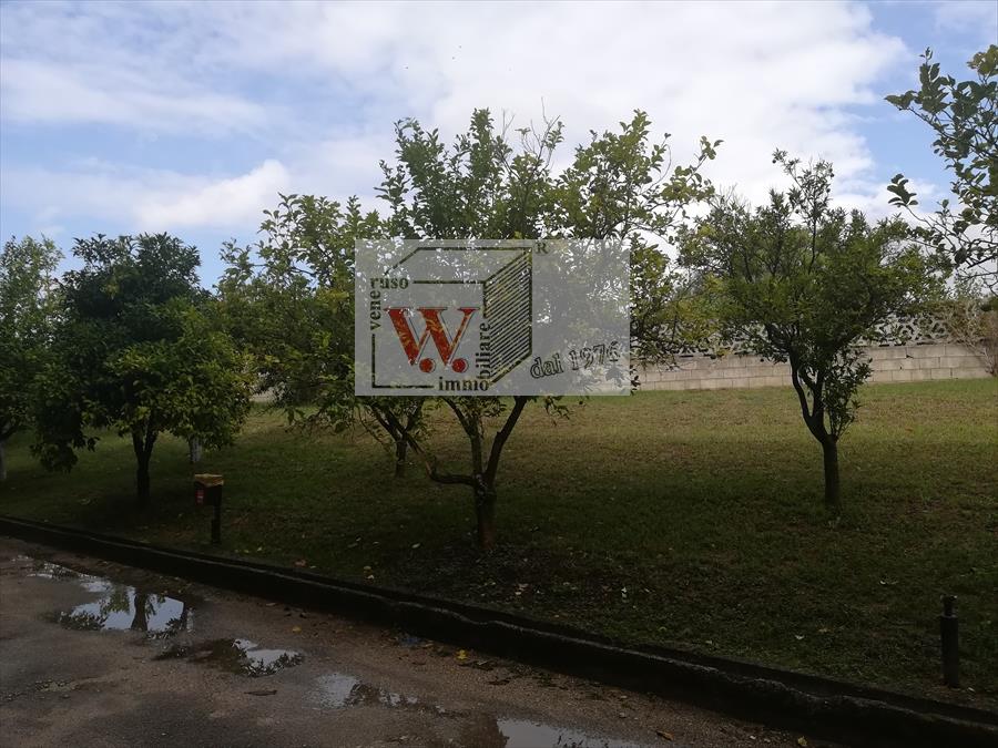 Appartamento con box, San Marco Evangelista periferia