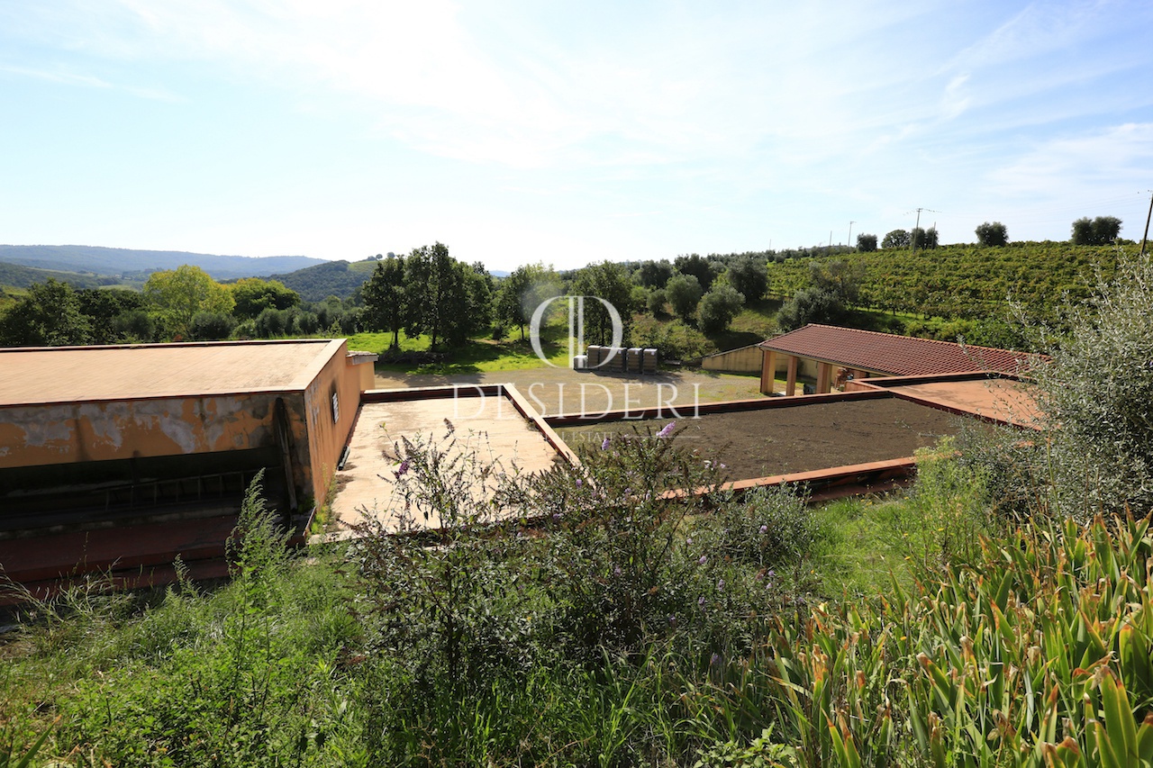 Rustico con giardino in localit apparita piantata, Magliano in Toscana