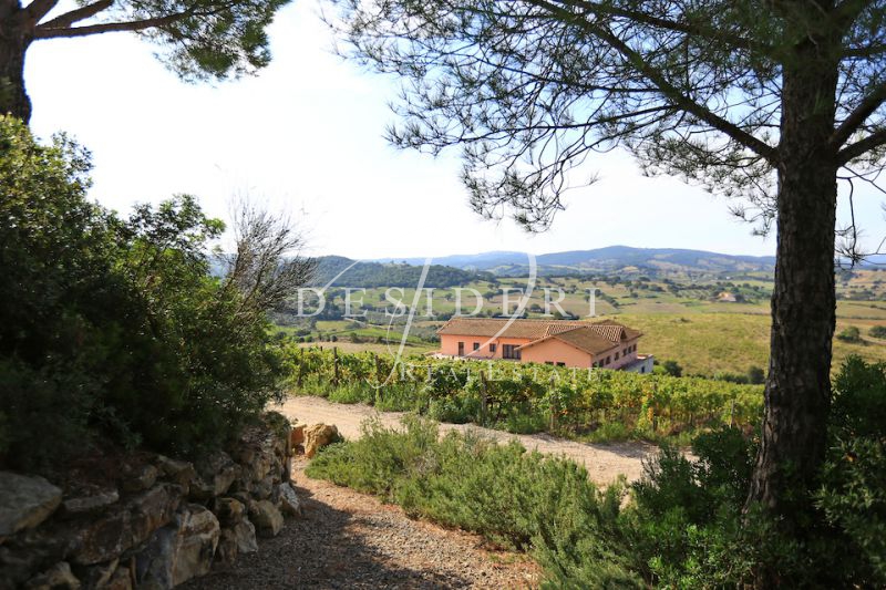 Rustico con giardino a Scansano