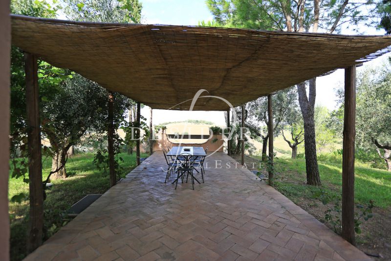 Rustico con giardino a Scansano