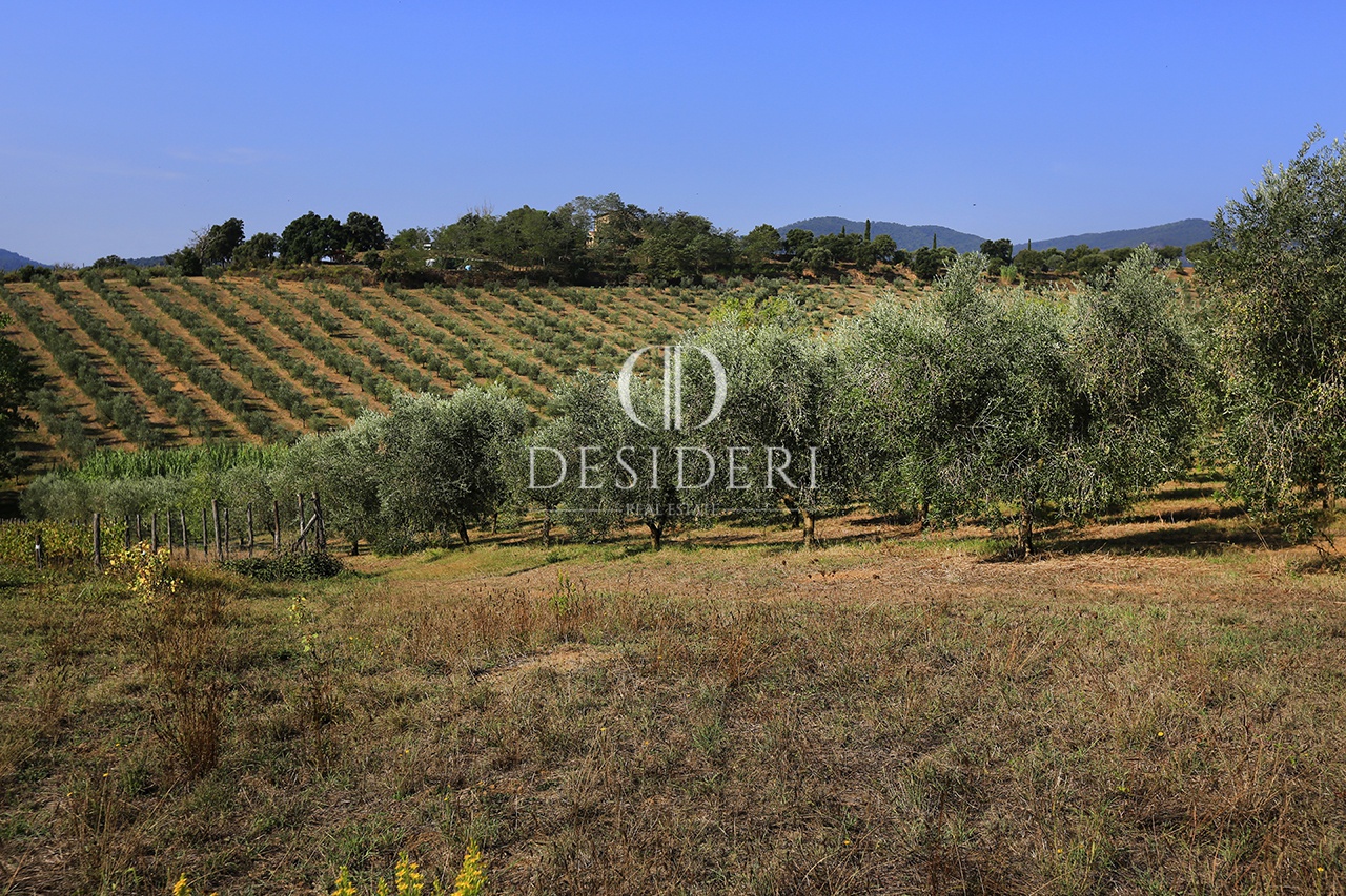 Terreno in vendita in localit podere ceretelle, Gavorrano