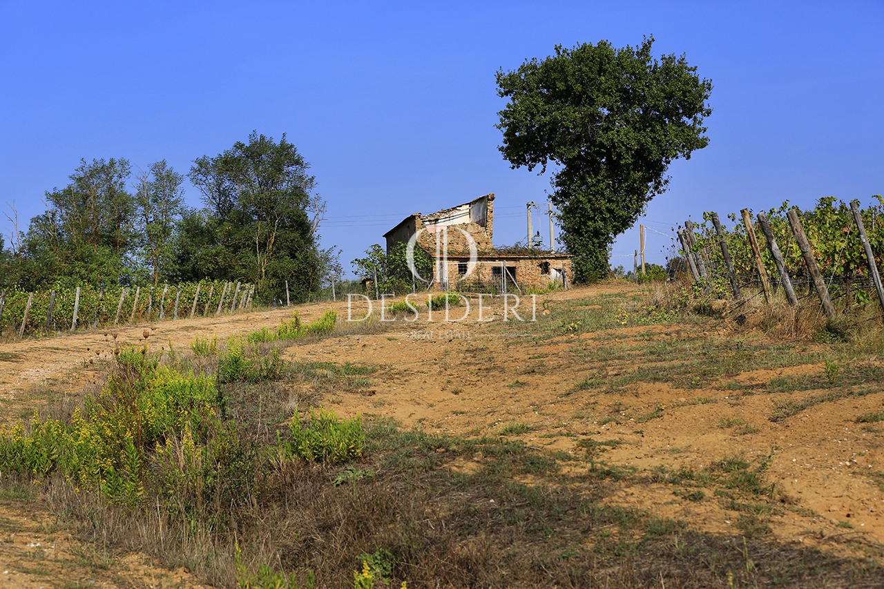 Terreno in vendita in localit podere ceretelle, Gavorrano