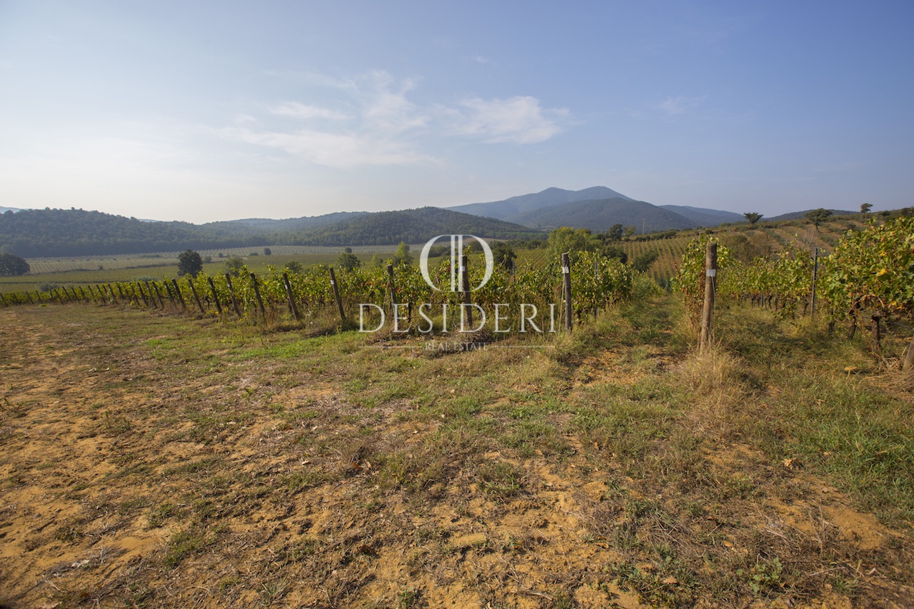 Terreno in vendita in localit podere ceretelle, Gavorrano