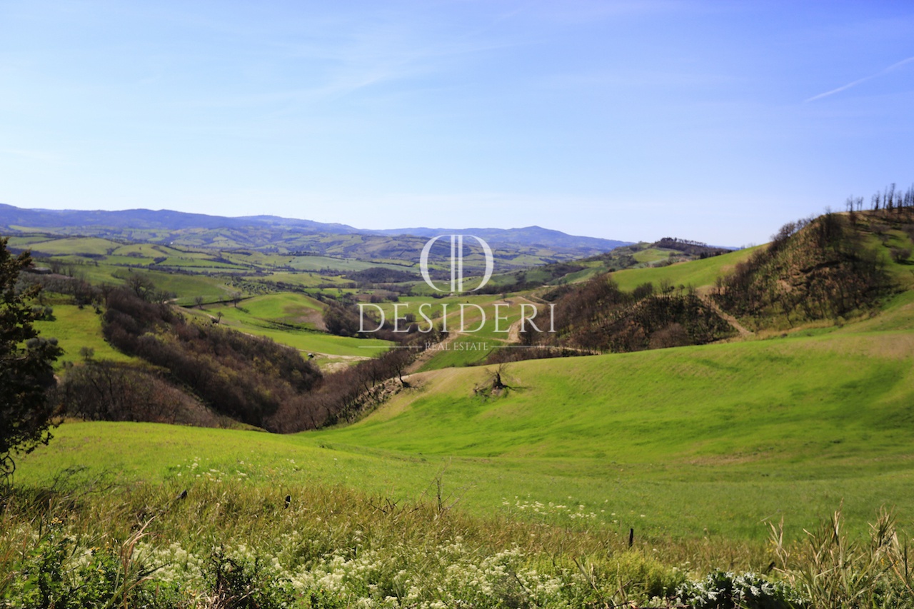 Rustico con giardino in podere sanino, Cinigiano