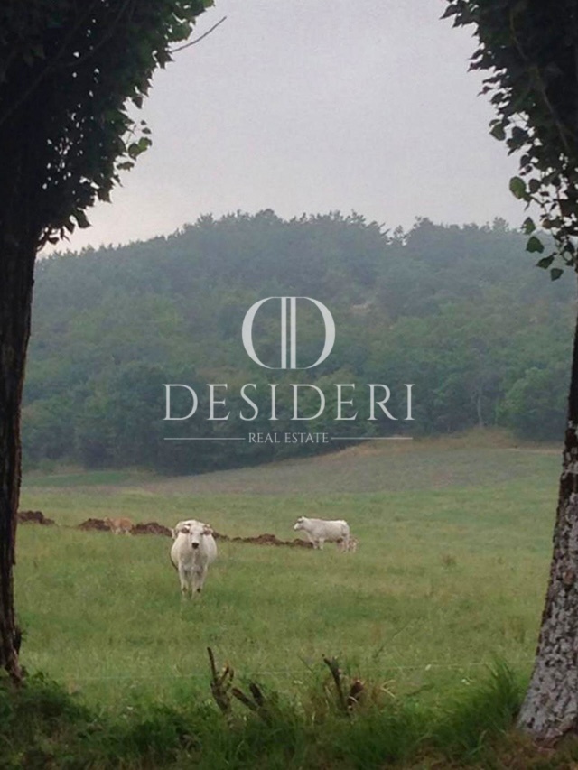 Appartamento in vendita in localit� la cupa, Badia Tedalda