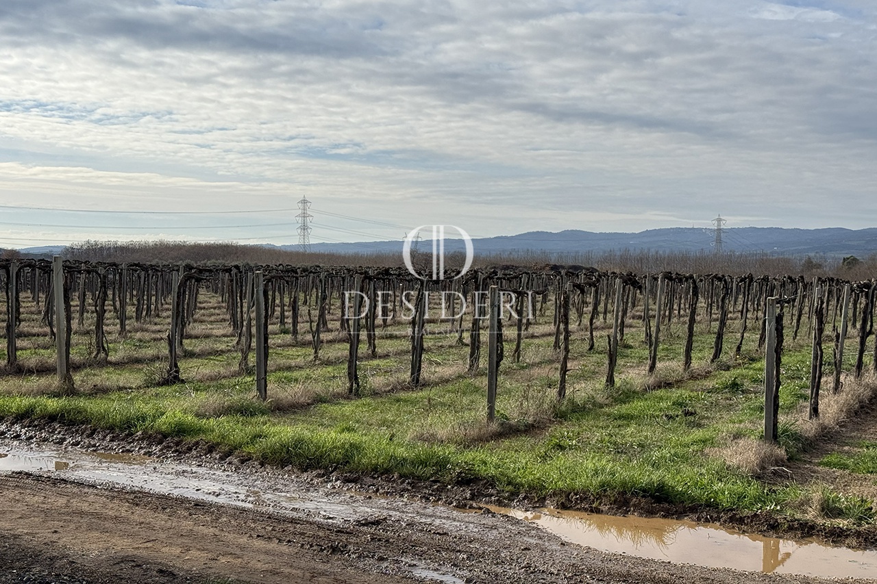 Attivit� commerciale con giardino in loc. pianetti di montemerano, Manciano
