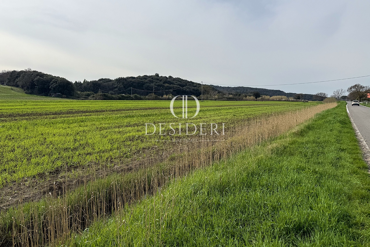 Terreno in vendita in loc. valpiana, Massa Marittima