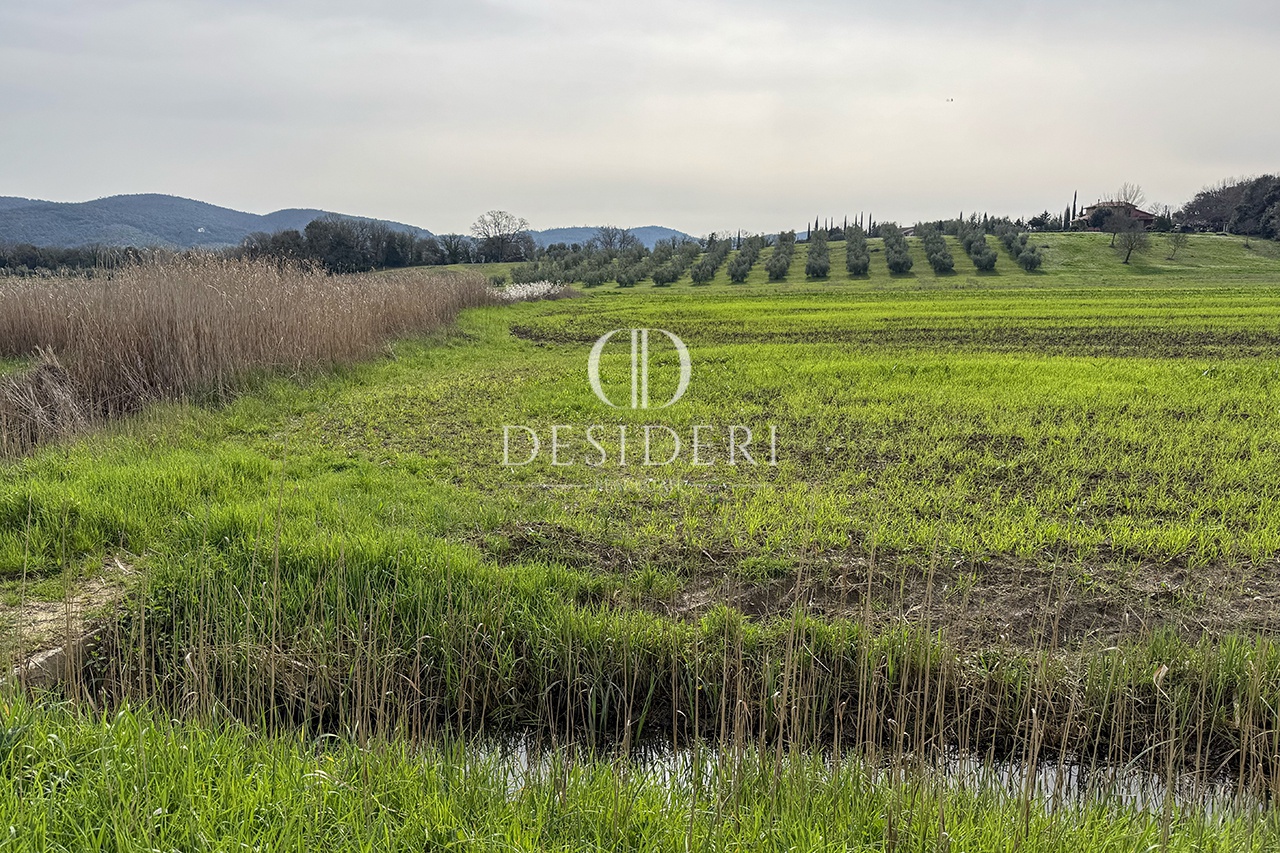 Terreno in vendita in loc. valpiana, Massa Marittima