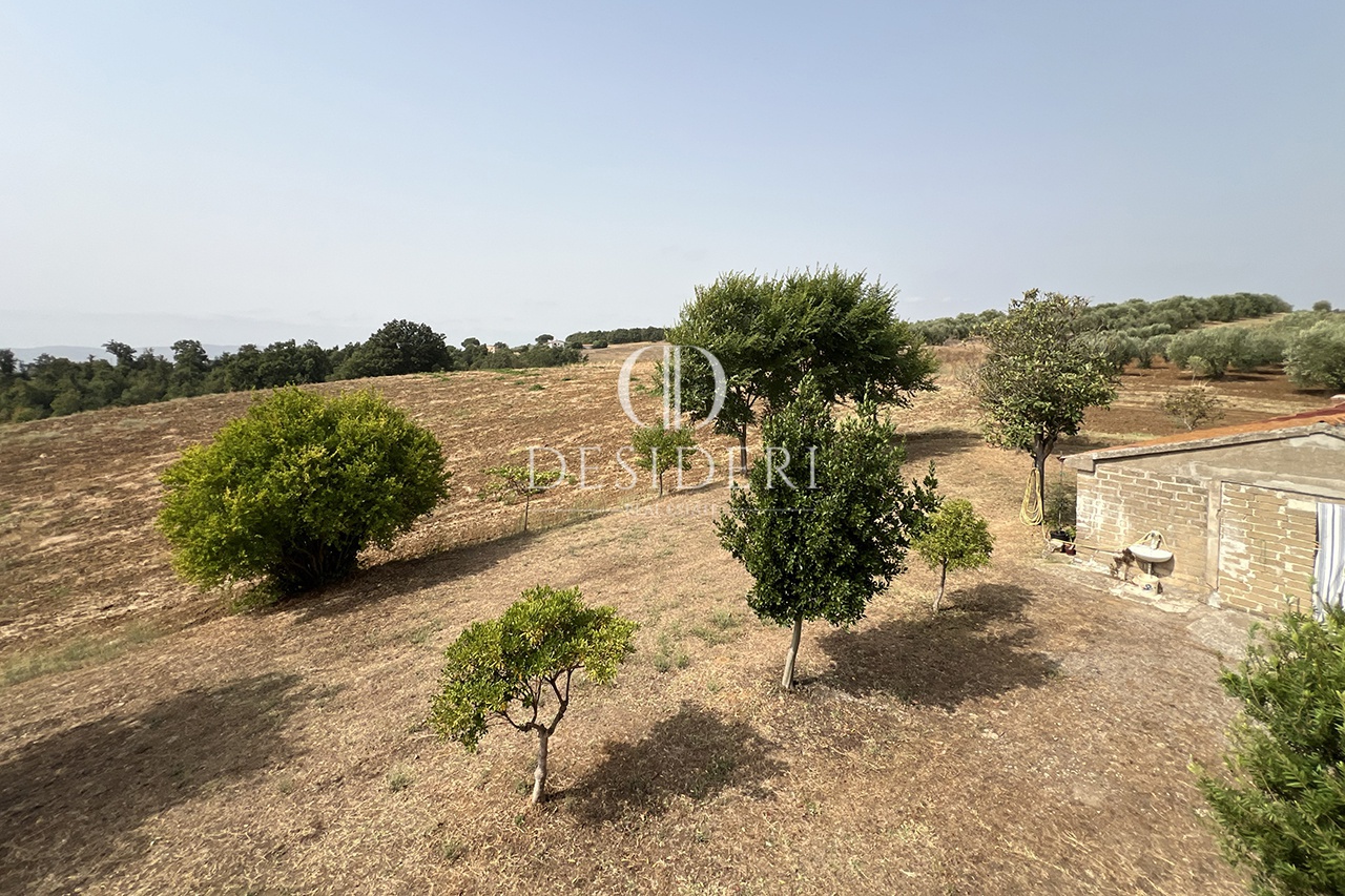 Attivit� commerciale con giardino in zona sant'andrea, Magliano in Toscana