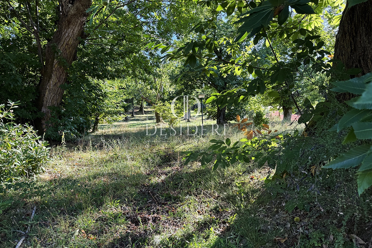 Casa indipendente con giardino in via torricella, Arcidosso