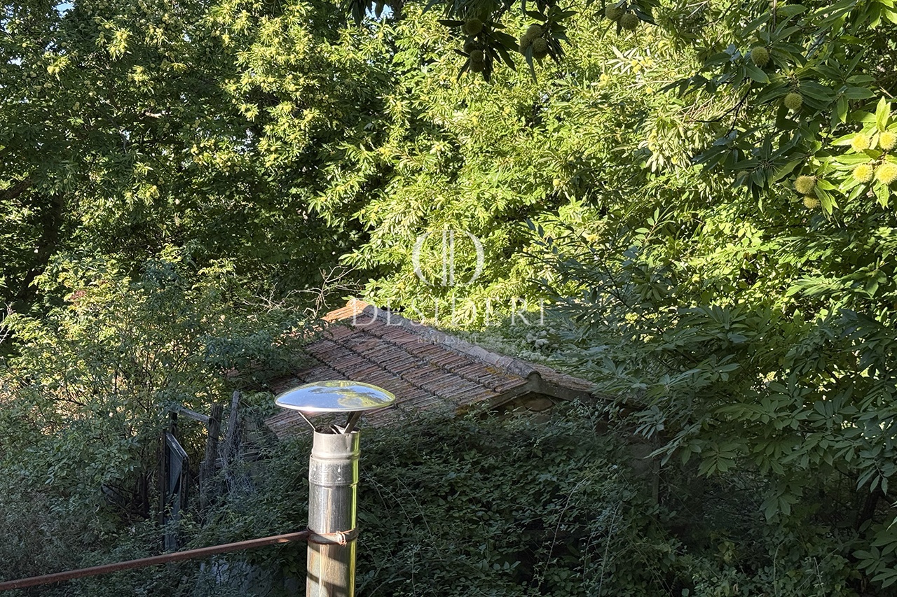 Casa indipendente con giardino in via torricella, Arcidosso