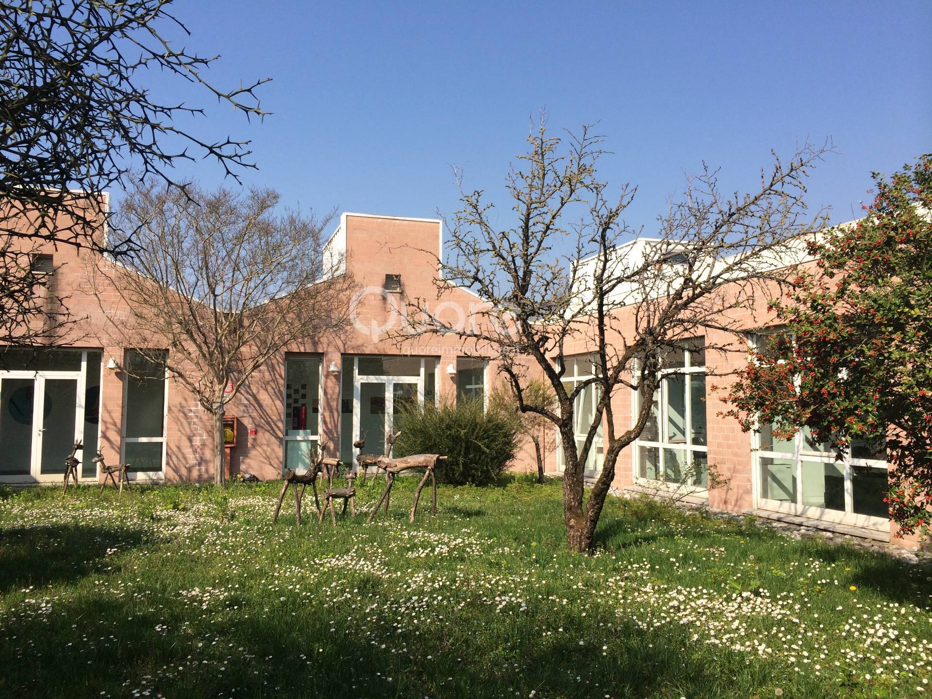 Ufficio in affitto a Udine