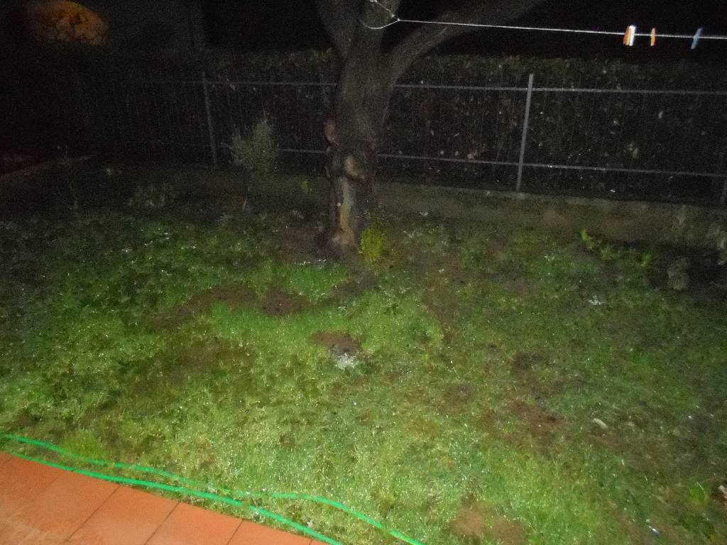 Casa indipendente con giardino in via montalese, Montale