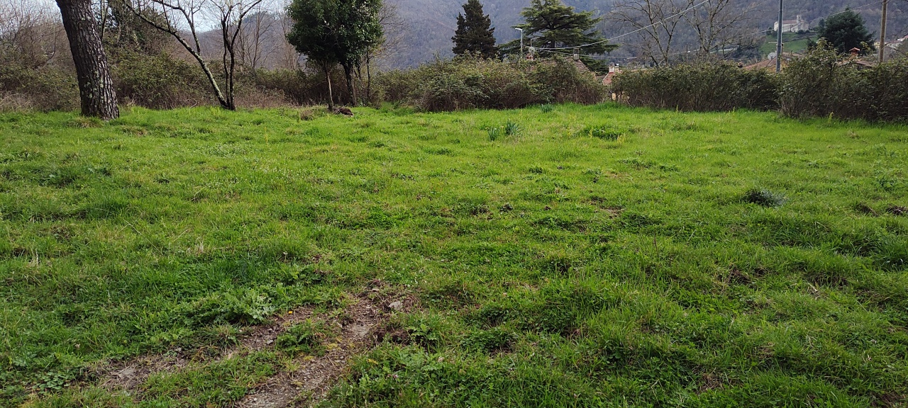 Terreno in vendita a Prato