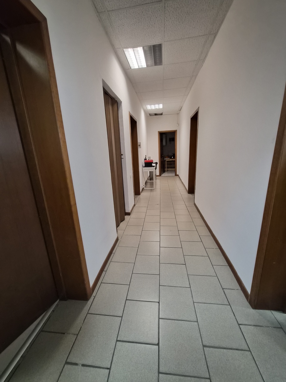 Capannone in affitto in viale labriola, Montemurlo