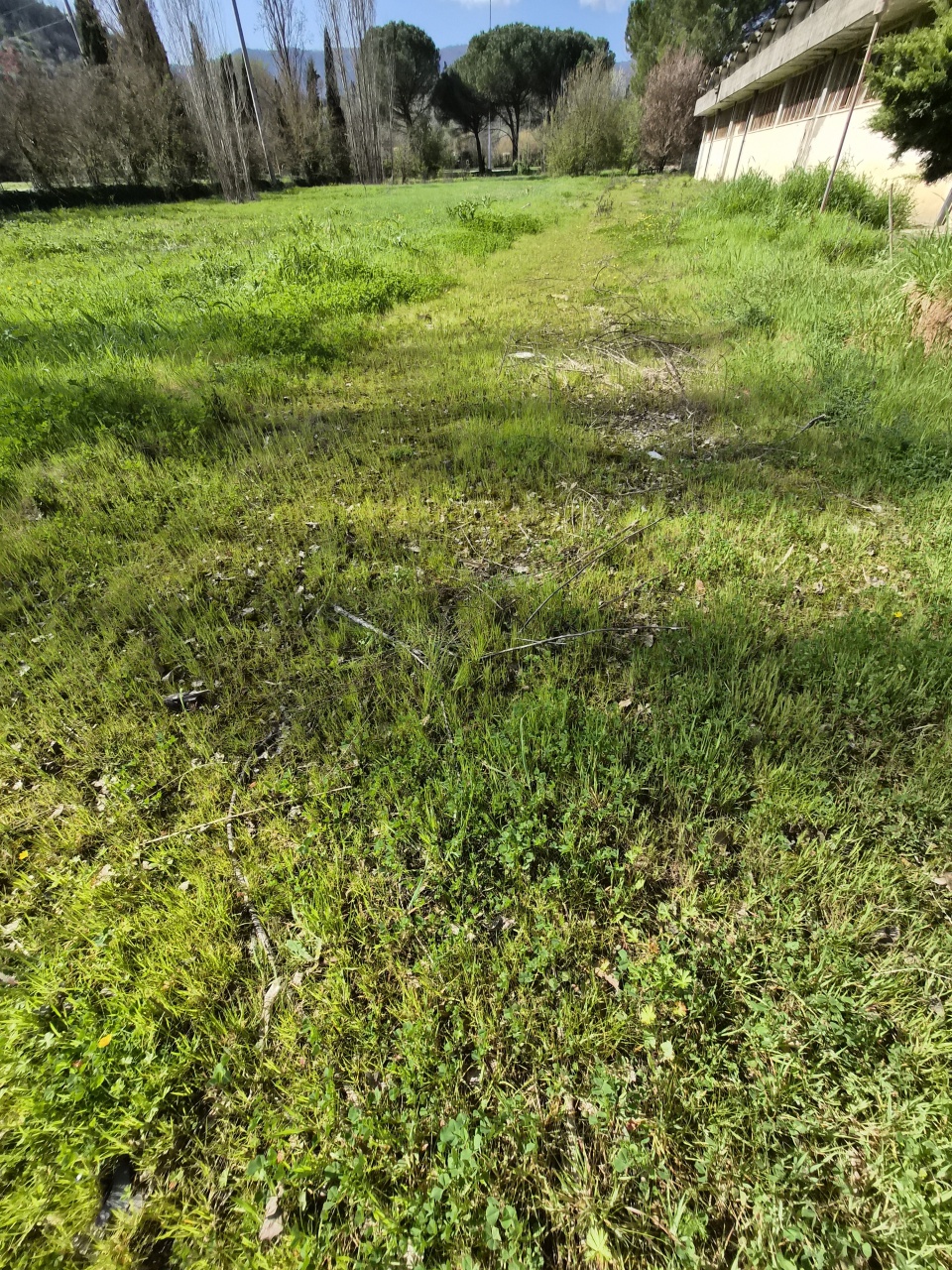 Capannone in affitto in via don lorenzo milani, Carmignano