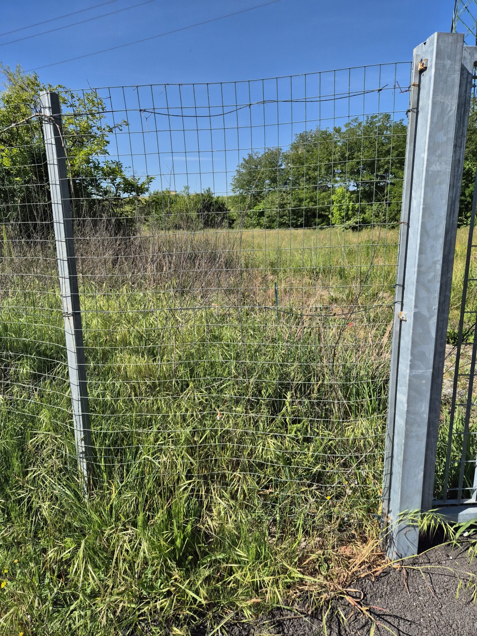 Terreno in affitto in via venezia, Montemurlo