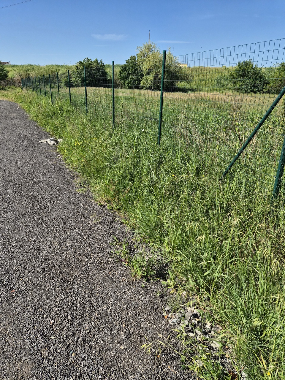 Terreno in affitto in via venezia, Montemurlo